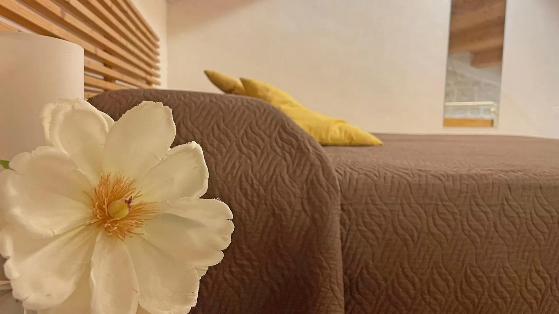 乡村民宿 Agriturismo Fondoliva 希克利